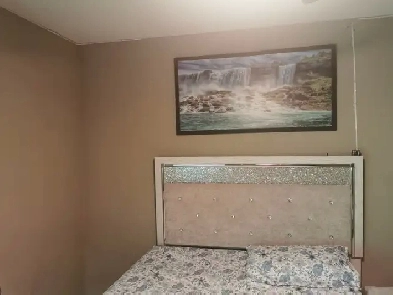 Walkout basement for rent Image# 4