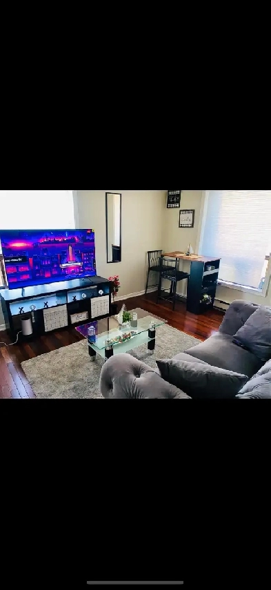 Apartment for rent(Short term summer rental DOWNTOWN TORONTO) Image# 4