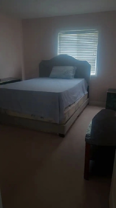 1 bedroom Image# 1