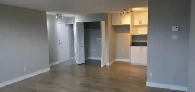 Fully Renovated Apartment for Rent in Aylmer-Gatineau Image# 6
