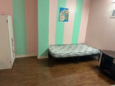 Single room or sharing in Brampton near bramalea city center Image# 1