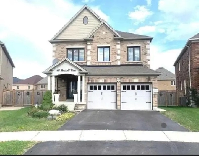 One bedroom available in a detached home in Brampton Image# 1