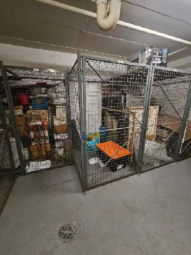 Indoor Storage for Rent - Yonge & Sheppard Condo Image# 2