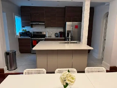 1 year lease on family home in walkable neighborhood Image# 4