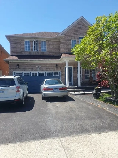 BRAMPTON BASEMENT APARTMENT FOR LEASE Image# 4