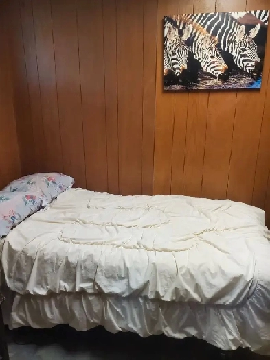 Albion/Islington bright furnished room rent in Etobicoke Image# 1