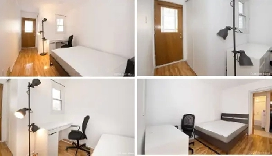 Room for Rent in Glebe Image# 2
