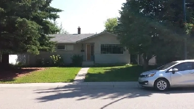 Brentwood basement for rent, large bedroom and own bathroom Image# 5