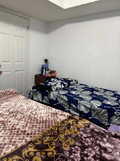 Room on Rent for Girl in Sharing (Torbram-Sandalwood) Image# 1