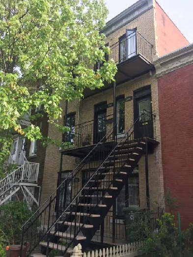 Superbe grand 4 1/2 à louer Image# 1