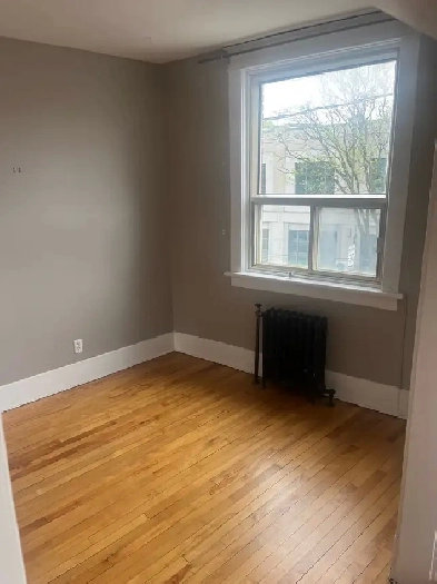 2 bedroom apt in the glebe Image# 1