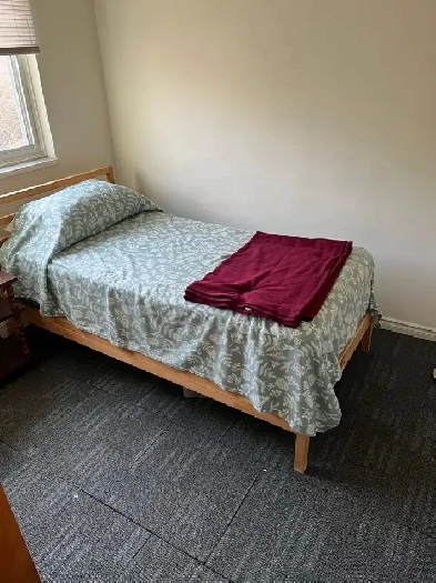 Single room for rent Image# 1