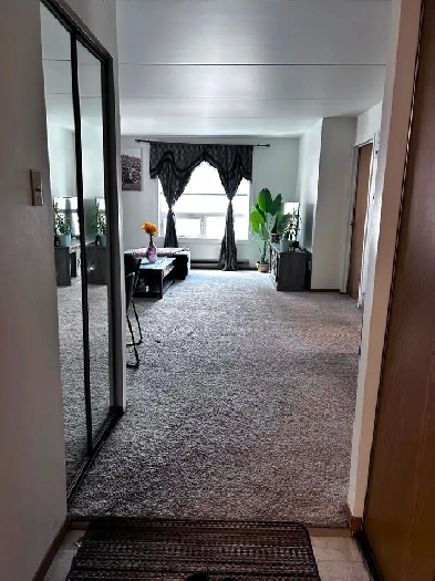 2 Bedroom, 1 bathroom Apartment-Sublet Image# 8