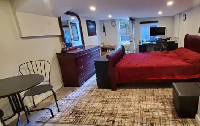 Walkout basement in Richmond hill Image# 7