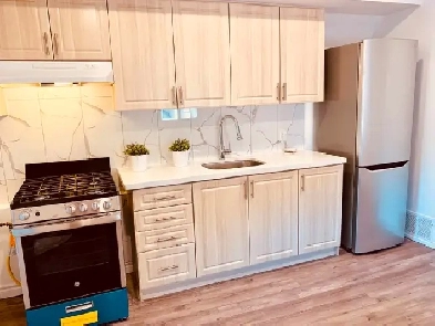 Renovated 2 Bedroom in Dufferin Groove w/ Laundry & Parking Image# 7