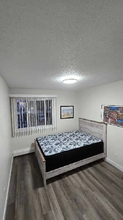 1 bedroom for Ladies only Image# 1