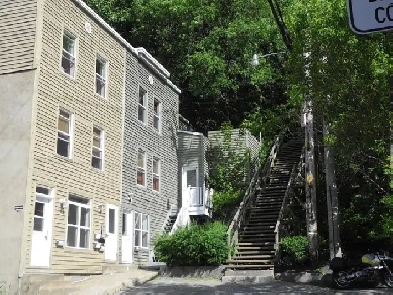 4-1/2 Haut Saint-Sauveur Image# 6