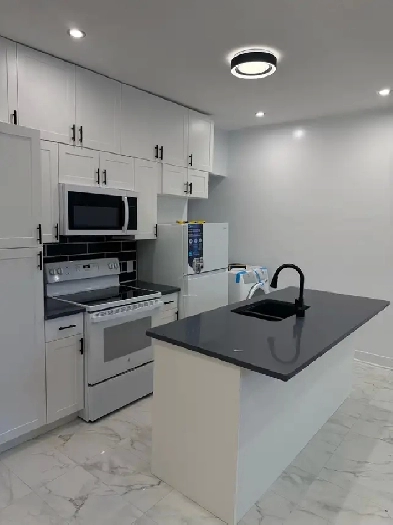 Logement 4 1/2 à louer Image# 3