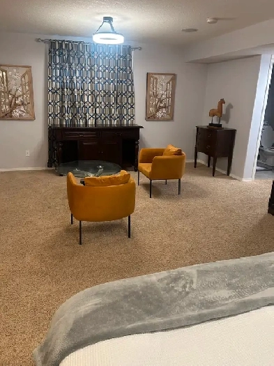 Furnished basement suite SE Calgary Image# 8