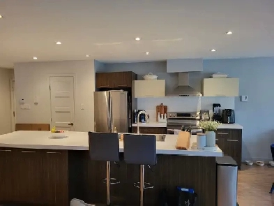 APPARTEMENT 4 1/2 STYLE CONDO Image# 8