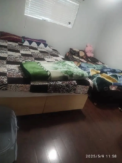 need girls for three bedroom basement Image# 1