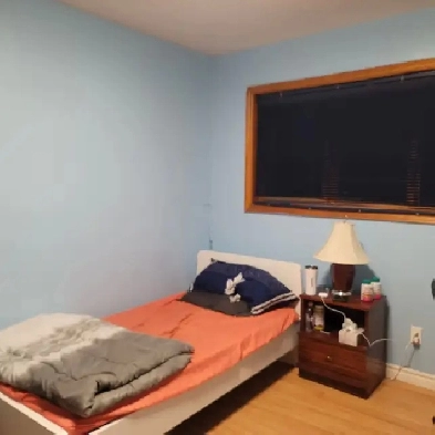 Room near Algonquin College for June 1st for CAD 700 Image# 2