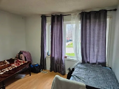 Sharing room for Rent Image# 2