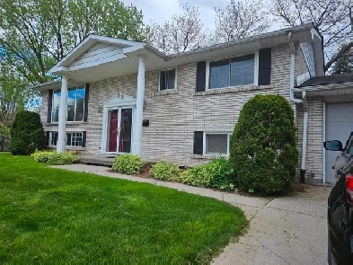 House for rent in Hamilton Mountview area. Image# 13