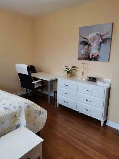North York Bathurst/Steels 1 master bedroom rent to female Image# 1