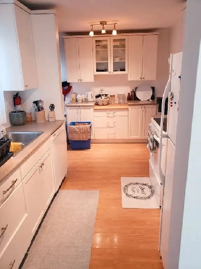 One St. Vital basement bedroom for rent, available June 1st. Image# 1