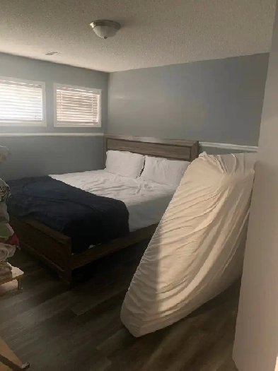 Basement for rent Image# 3
