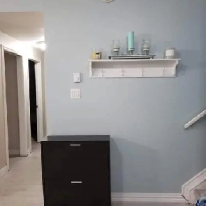 2 bedroom legal basement suite available for rent June 1 Image# 9