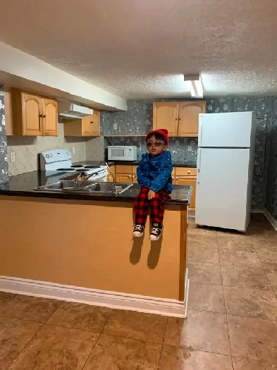 One bedroom basement Image# 1