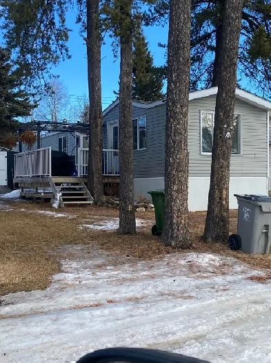 2 bedroom 1 bathroom house for rent Image# 6