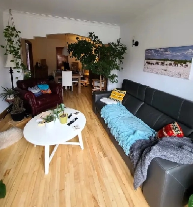 GRAND 4 1/2 avec 2 CHAMBRES - COURS ET STATIONNEMENT Image# 9