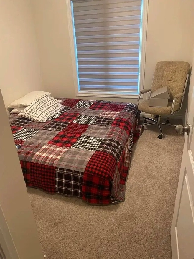 2 Rooms for rent in Caledon Image# 1