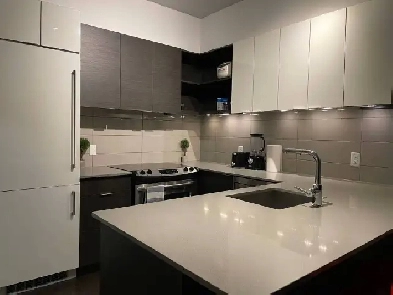 Furnished Downtown Apartment with All Bills Included Image# 6