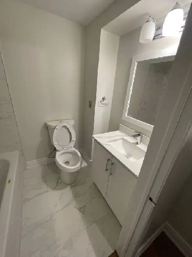 1 BR Legal Walkout Basement Image# 2