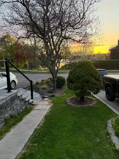 brampton shared room for rent - professors lake Image# 1