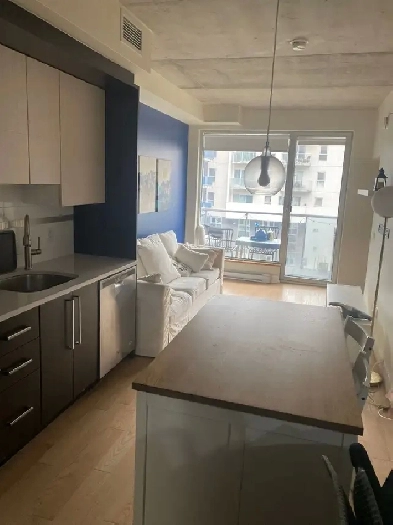 Chic 3 1/2 Appartement à louer - Vieux-Rosemont 1er juin Image# 3