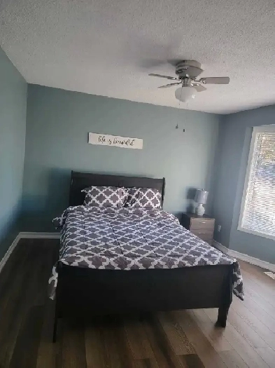 large room for rent with private washroom Image# 1