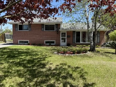 Apartment rental Image# 2