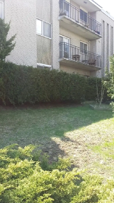 One Bedroom Apartment For Rent Image# 2