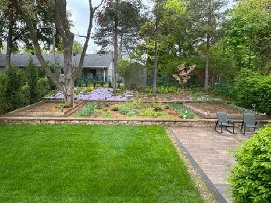 Bungalow Main Floor for Rent - Dundas and Credit Woodlands Image# 1