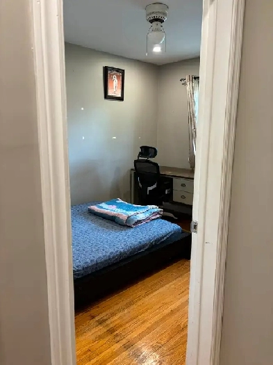 Private Room available for rent in Etobicoke From June OR July Image# 1