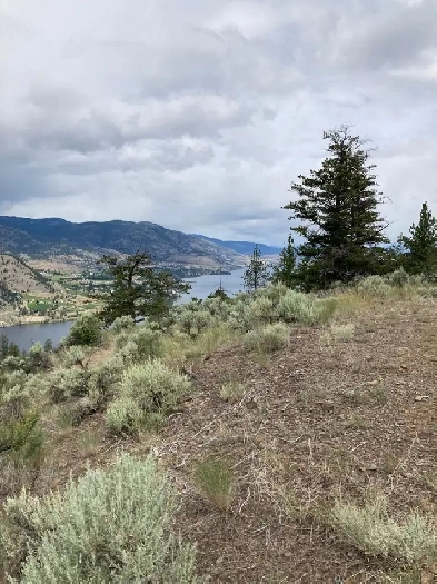 VACANT LAND/BUILDING LOT AMAZING OPPORTUNITY!! Image# 1