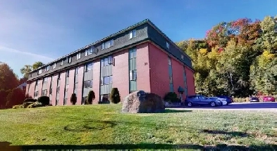 2 bed 1 bath apartment near UNB available for rent July 1st Image# 3