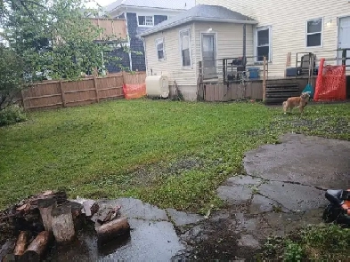 2 Bedroom Apartment for Rent Image# 4