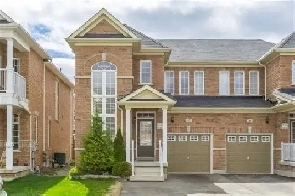 2 Bedroom Beautiful Basement For Rent in Brampton Image# 1
