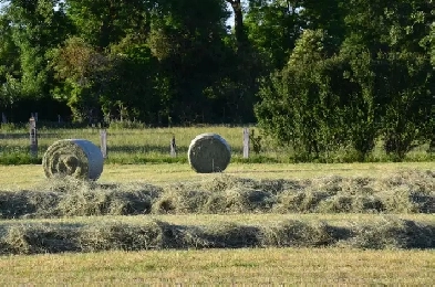 Terre agricole à louer pour faire du foin Image# 1